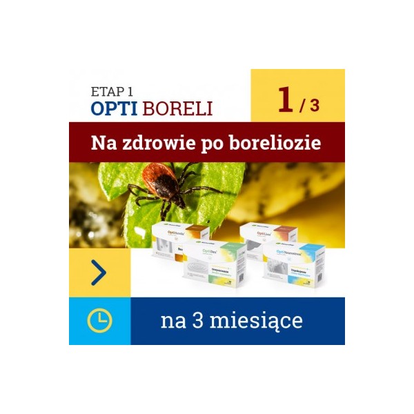 OPTI BORELI SET ETAP 1