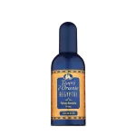 TESORI D/ORIENTE AEGYPTUS woda toaletowa 100ml