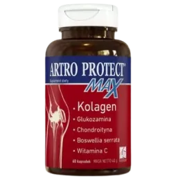 ARTRO PROTECT MAX 60 kapsułek