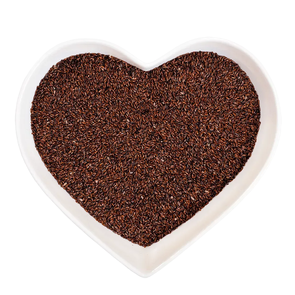 NASIONA BABKI PŁESZNIK 500 g